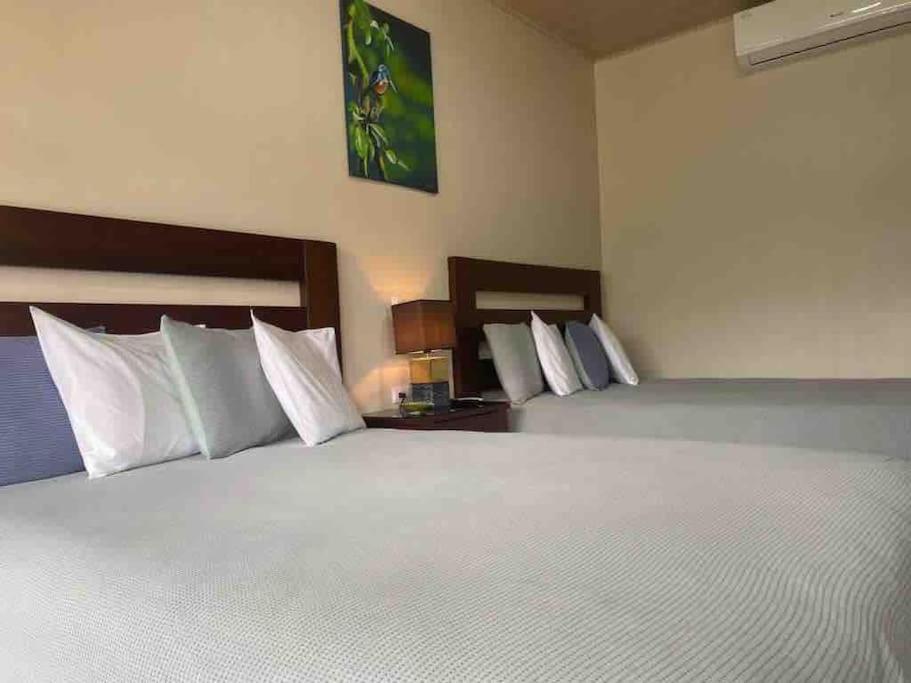 Lisa Loft Boutique Apartment Ла Фортуна Экстерьер фото
